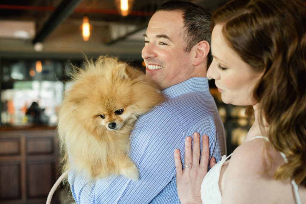 Webb City Cellar Green Bench Wedding photographer Tampa Florida with dog