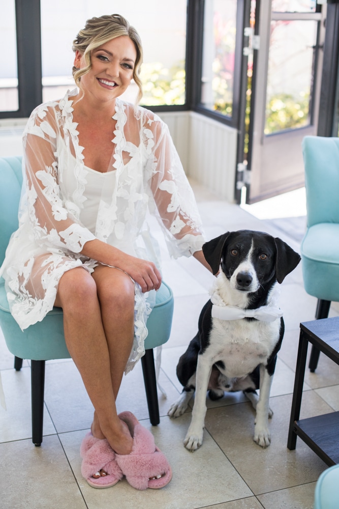 bride and dog 